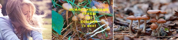 Альфа ПВП Абдулино