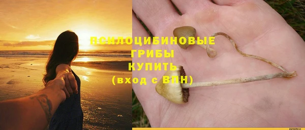 дмт Абаза