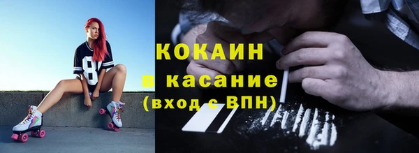 дмт Абаза