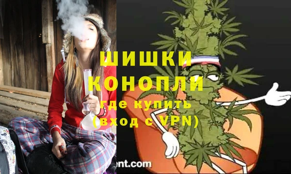 дмт Абаза