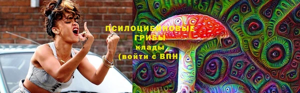 дмт Абаза