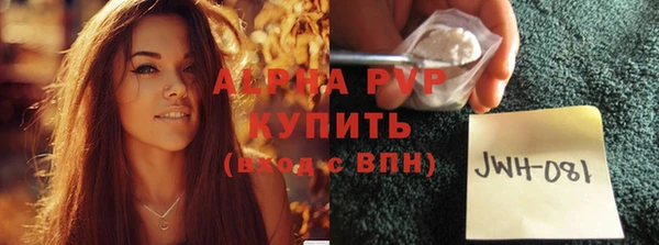 дмт Абаза
