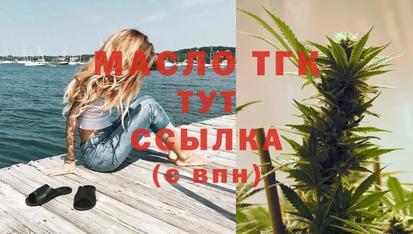 дмт Абаза