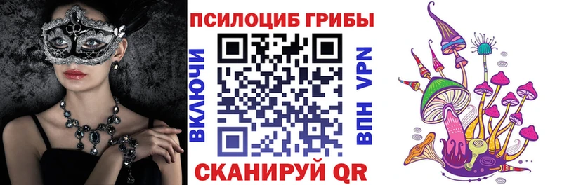 mega как зайти  Торжок  Псилоцибиновые грибы Psilocybine cubensis  даркнет сайт 