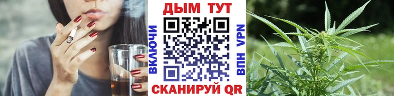 хочу наркоту  Торжок  Марихуана конопля 